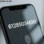 61285034690