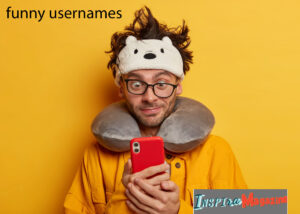 funny usernames