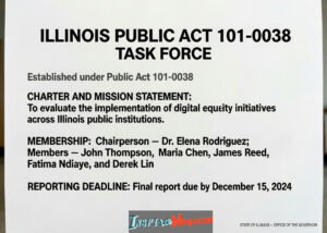 illinois public act 101-0038 task force